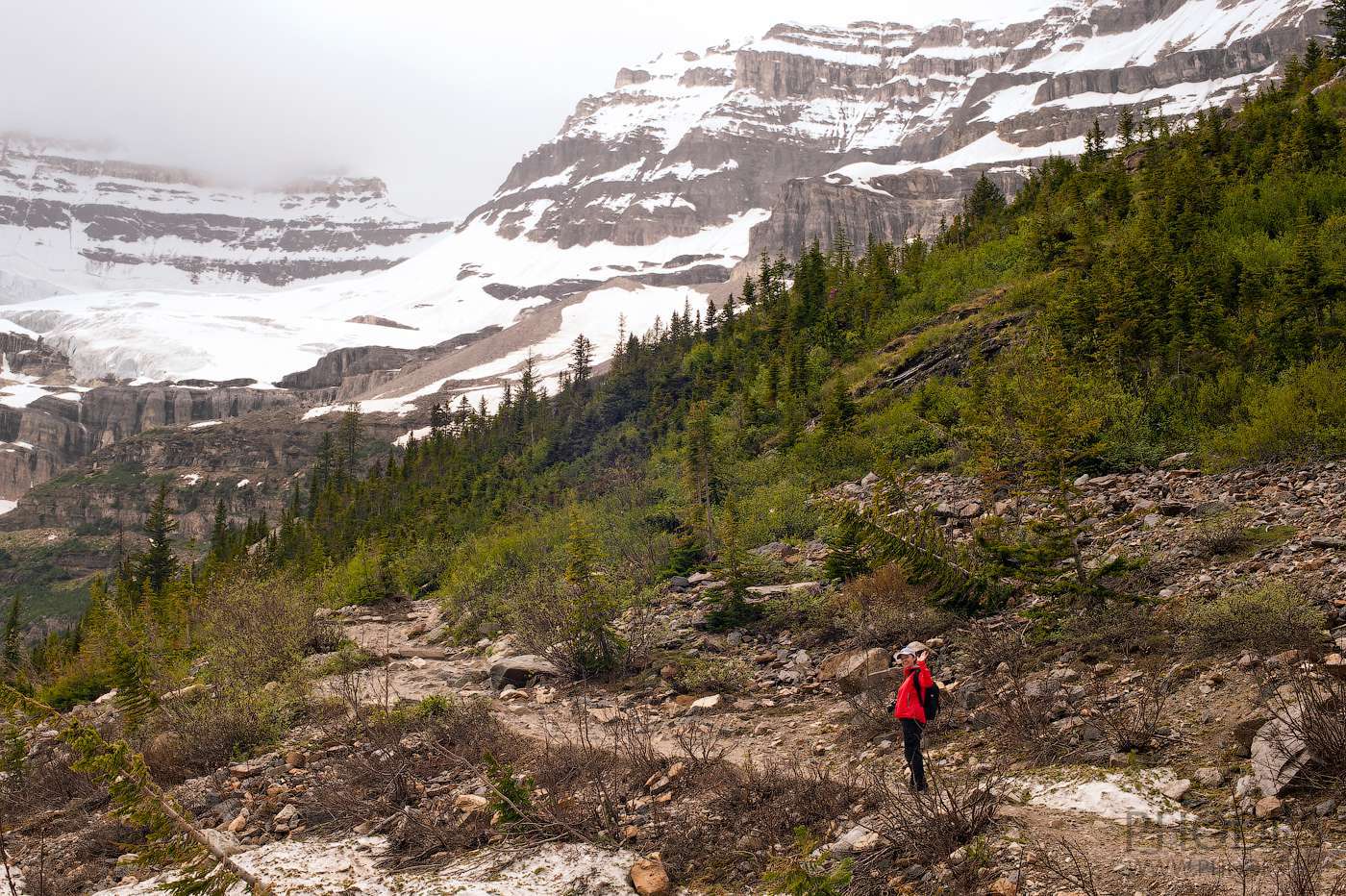 Plain of Six Glacier hiking on Lake Louise