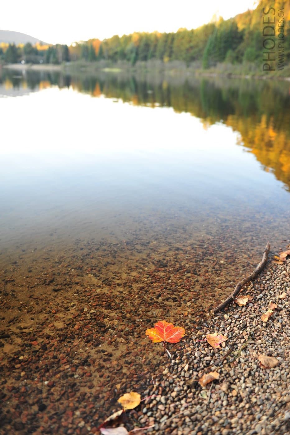 Берег озера осенью, парк Mont-Tremblant