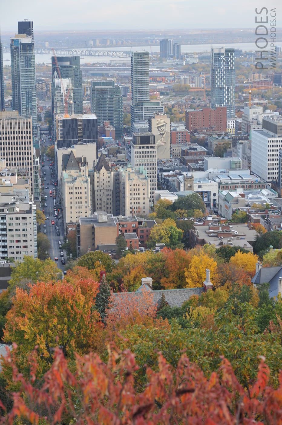 Вид с горы Mount-Royal на небоскребы города Монреаль