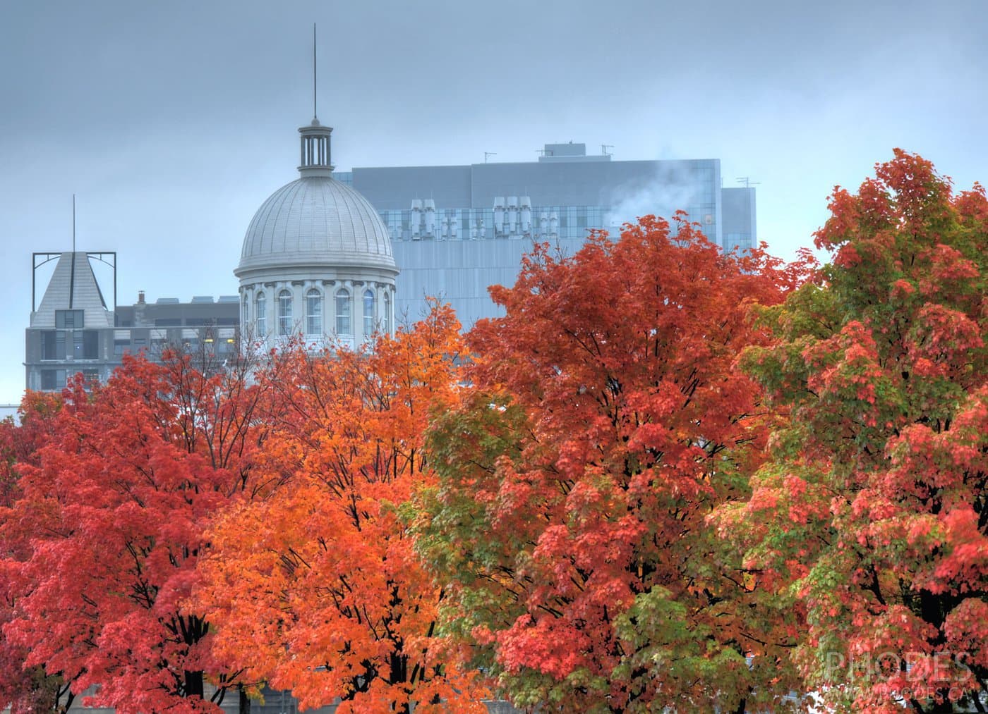 Marché Bonsecours en automne, Vieux Port, Montréal