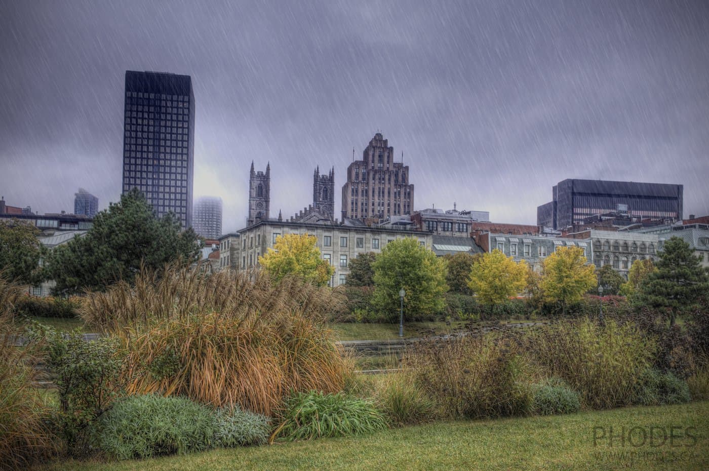 Vieux Port, la vue sur la ville de Montréal