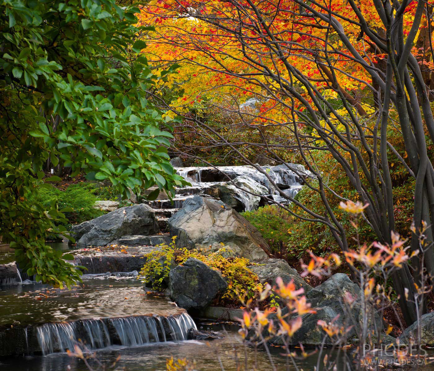 Botanical garden, Montreal