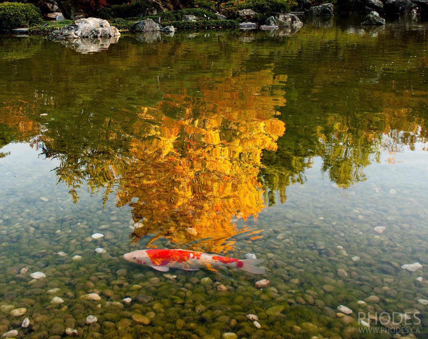 Japanese garden in Botanical garden, Montreal