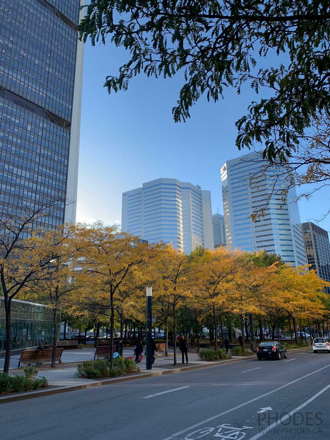 Fall in downtown, Montreal