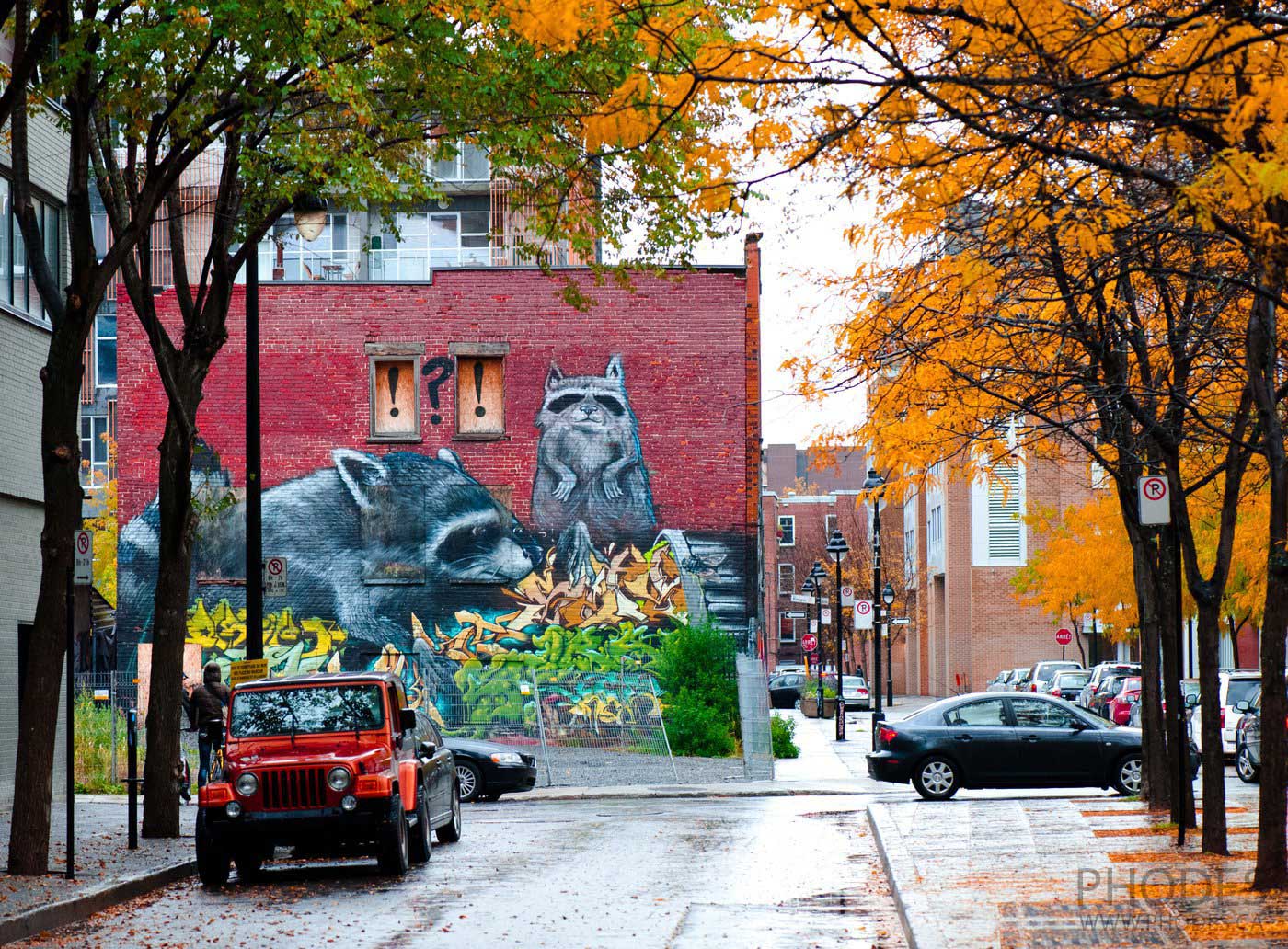 Street with graffiti in fall, Montreal