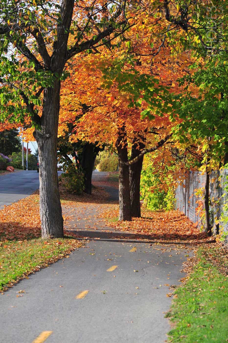 Велосипедная дорожка осенью, Лаваль, Квебек