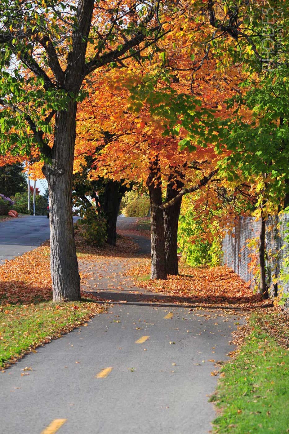 Sentier de vélo, Laval, Québec