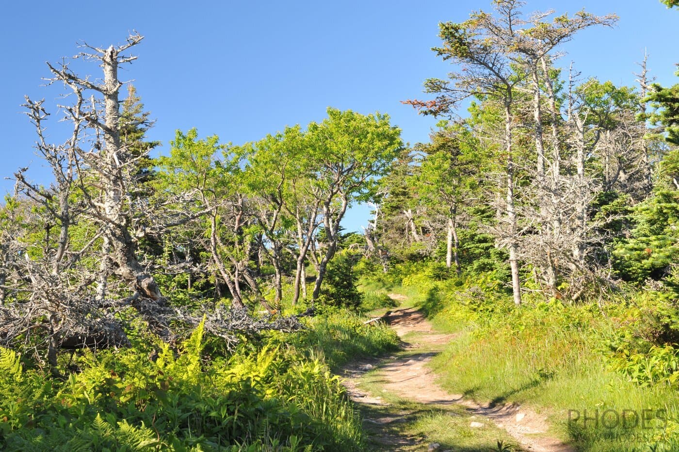 Skyline Trail - Cape Breton Highlands National Park - Nova Scotia - Canada