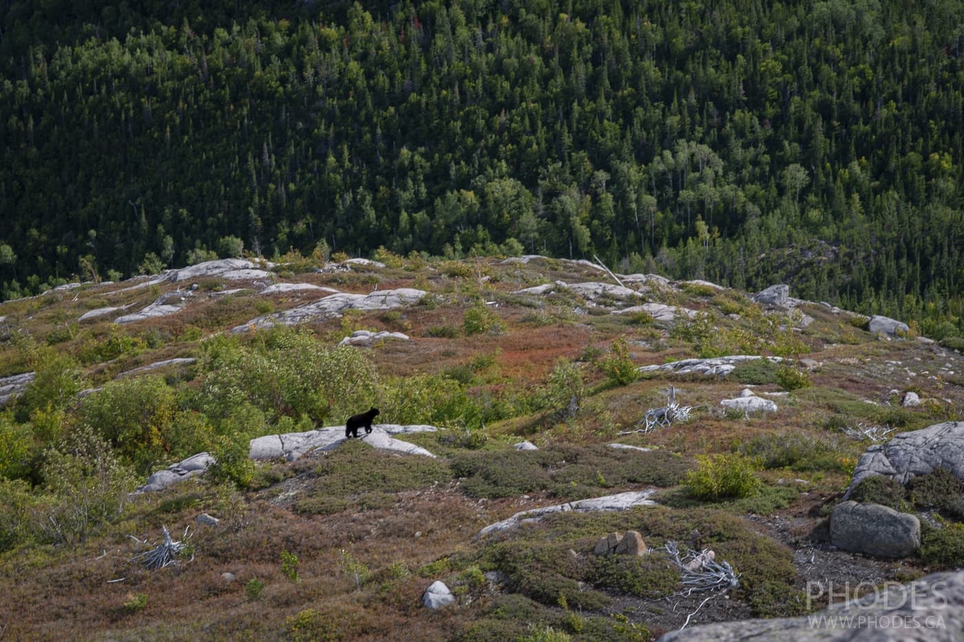 Lac-des-Cygnes Mount Trail - Grands-Jardins National Park - Квебек - Канада