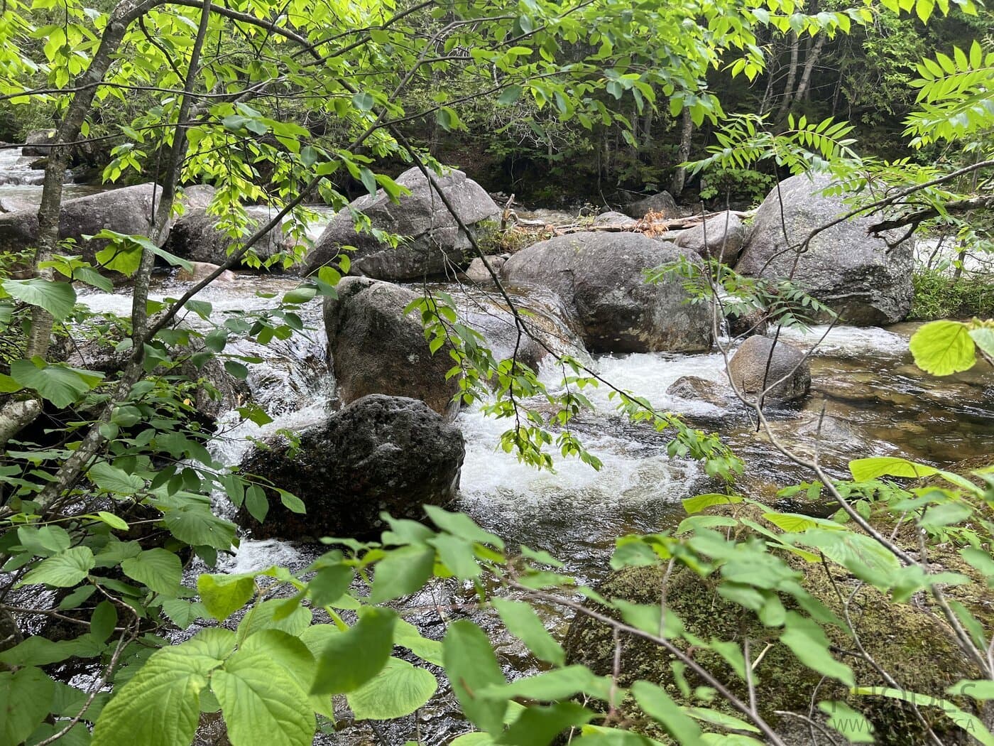 Chimney Pond Trail - Baxter State Park - Le Maine - Les États-Unis