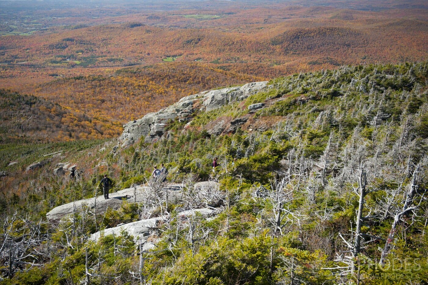 Sunset Ridge and Long Trail Loop - Underhill State Park - Вермонт - США