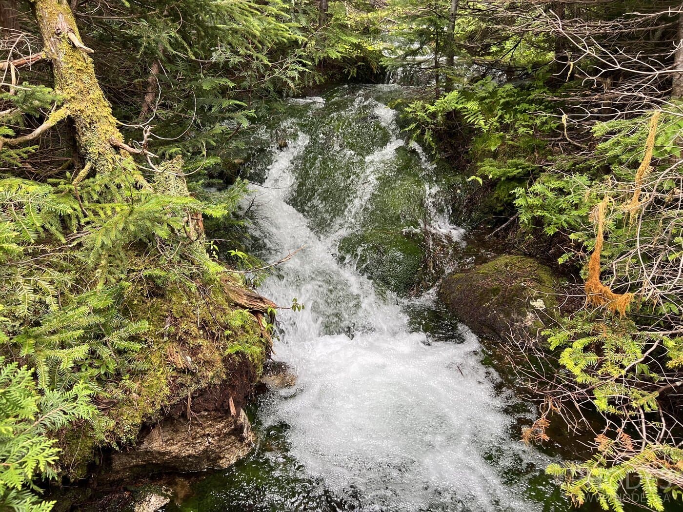 Chimney Pond Trail - Baxter State Park - Le Maine - Les États-Unis