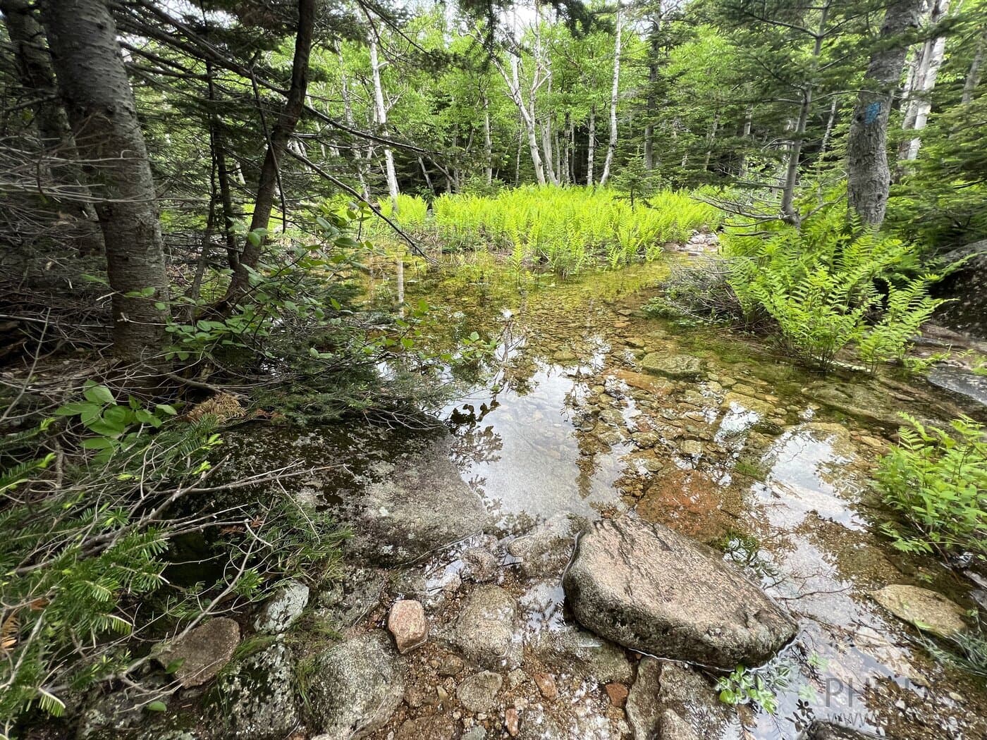 Chimney Pond Trail - Baxter State Park - Мэн - США