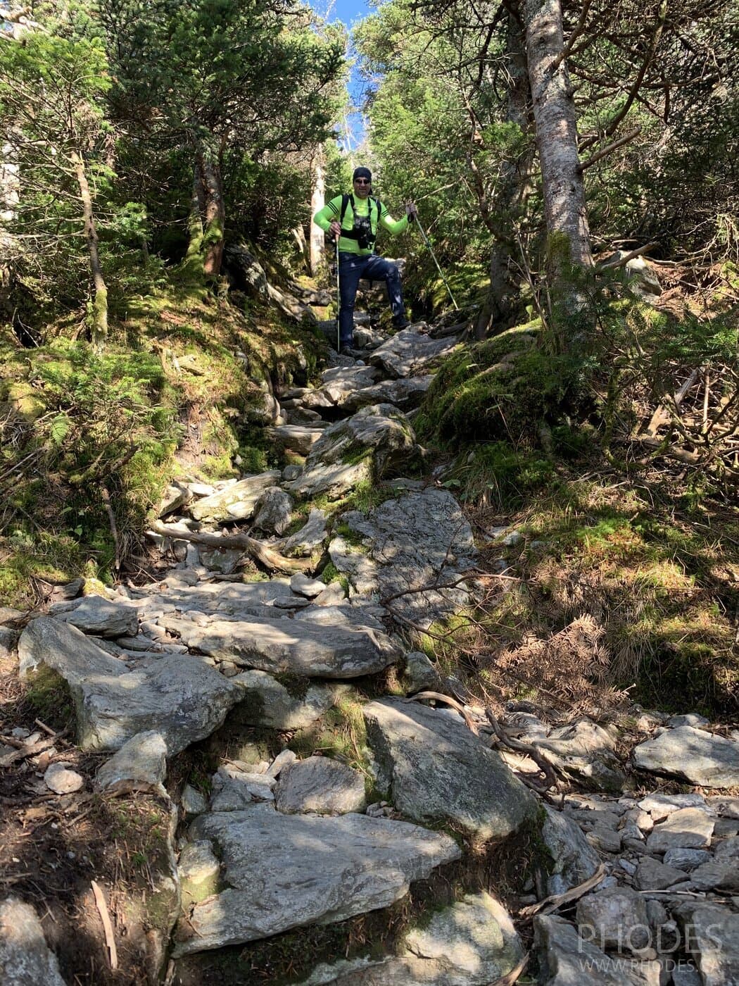 Sunset Ridge and Long Trail Loop - Underhill State Park - Vermont - USA