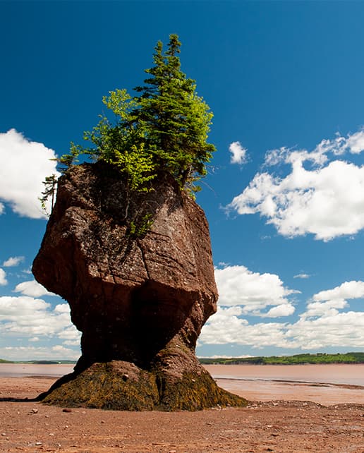 Hopewell Rocks - Нью-Брансунк - Канада