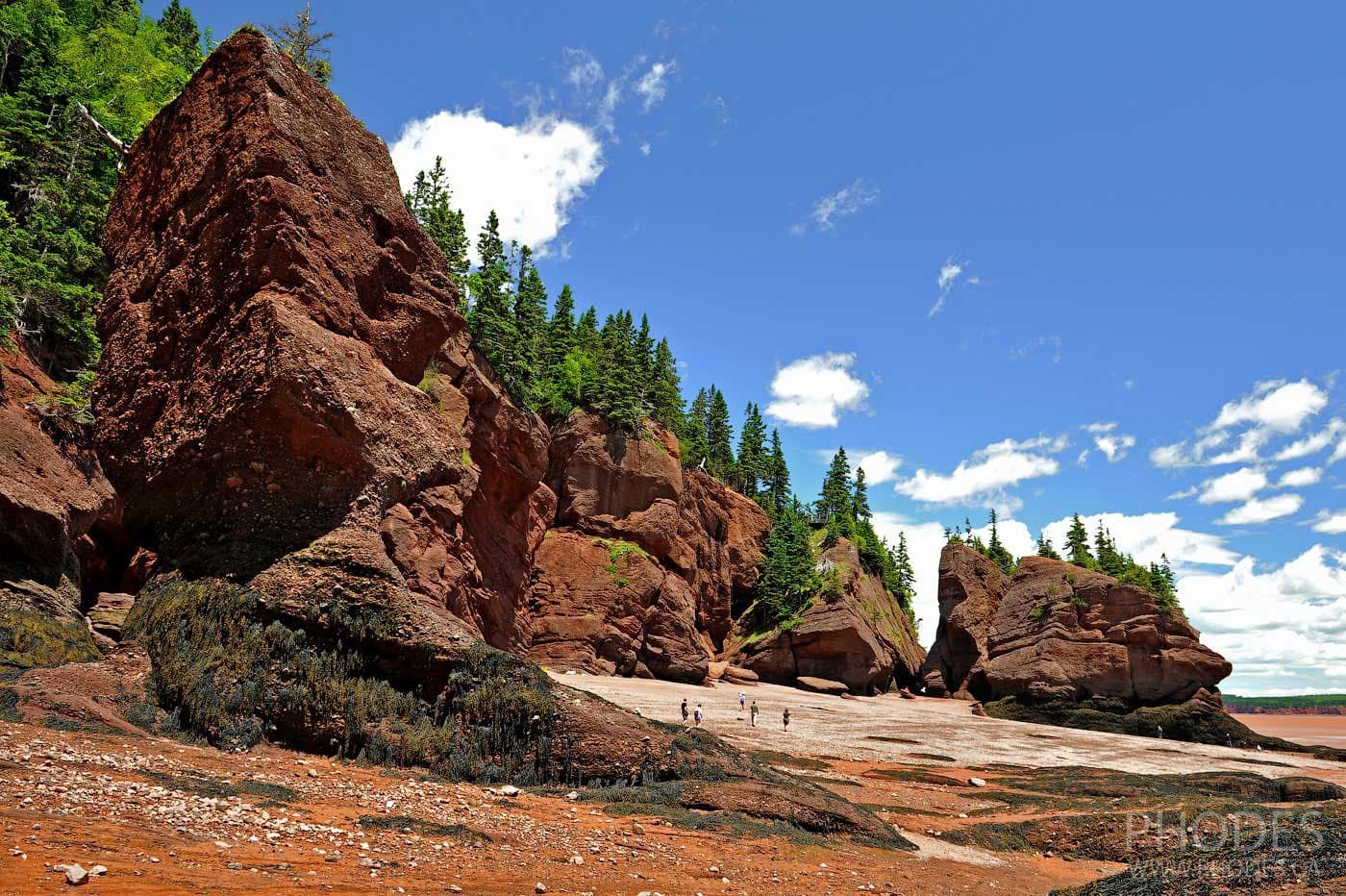 Rochers Hopewell Rocks - pot de fleurs pendant la marée basse