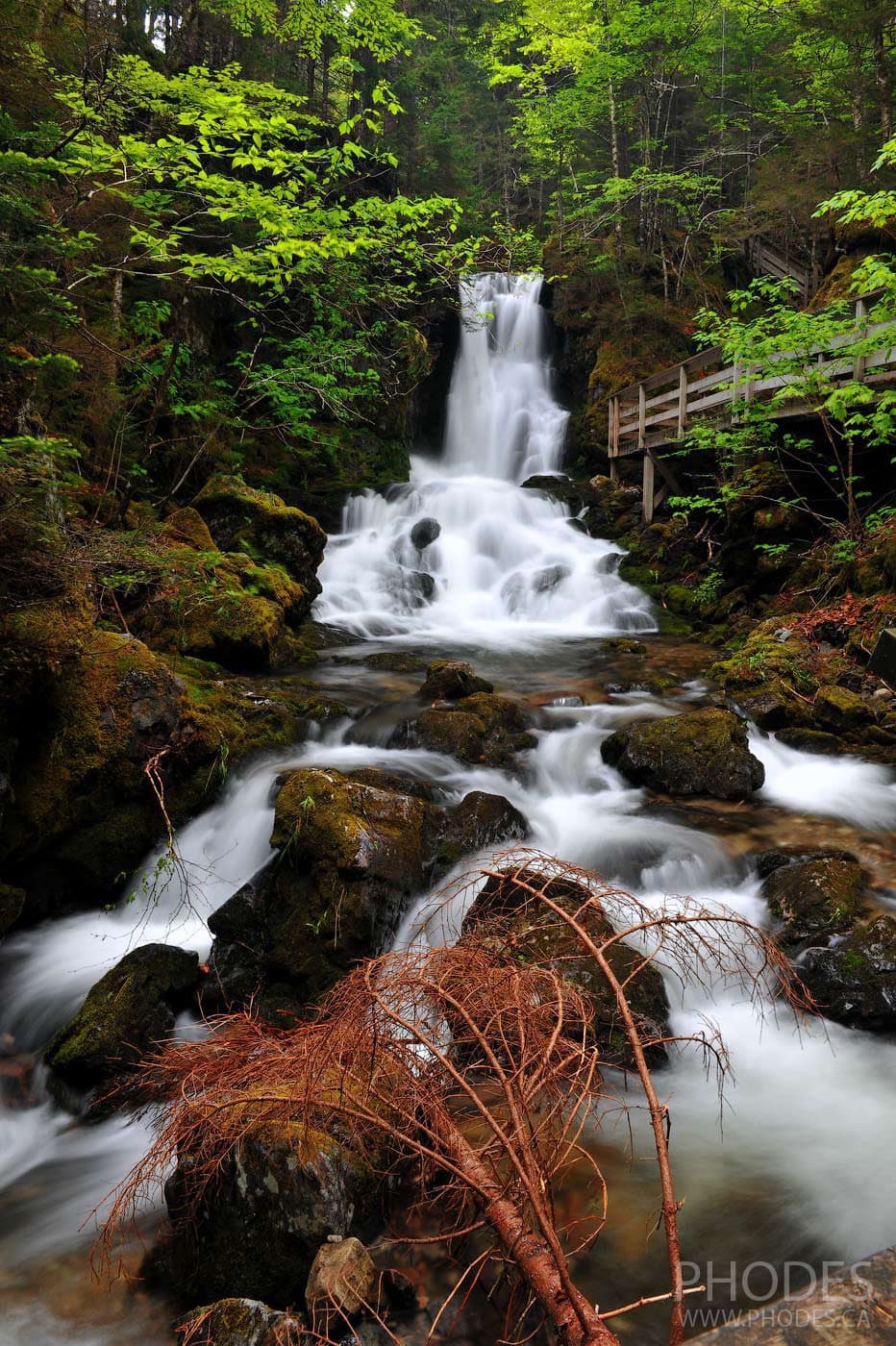 Parc national Fundy - sentier Chutes Dickson