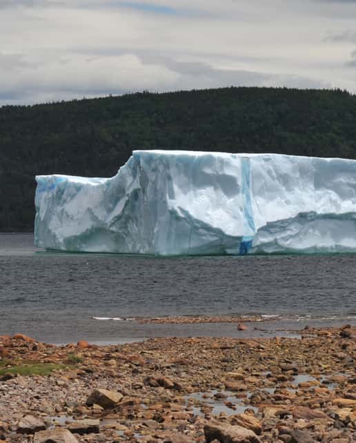 Iceberg - King's Point - Terre-Neuve - Canada