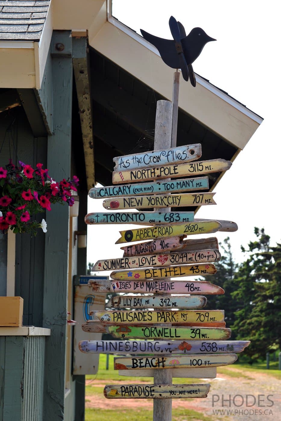 Sign Post in Campbell's Cove Campground