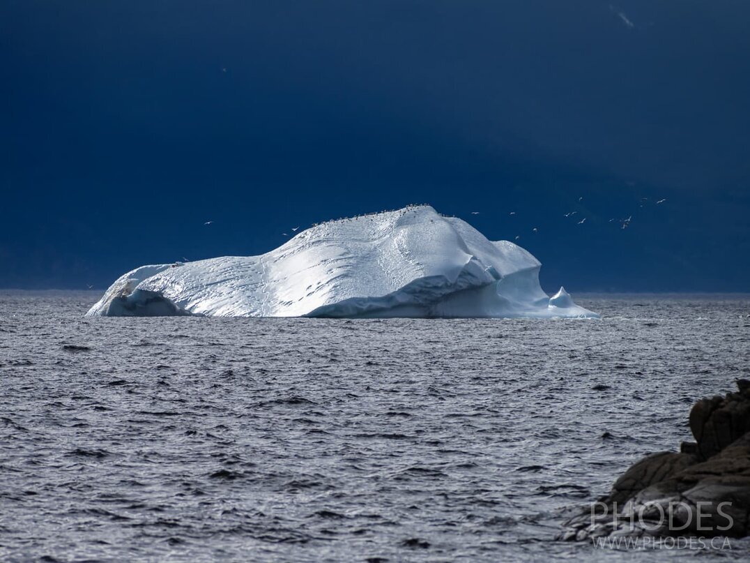 L’iceberg à Wild Cove - Terre-Neuve
