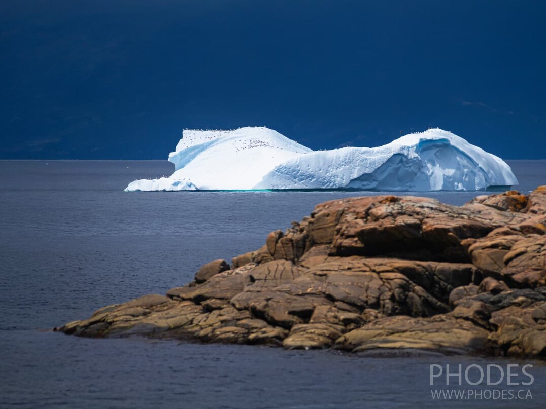 L’iceberg à Wild Cove - Terre-Neuve