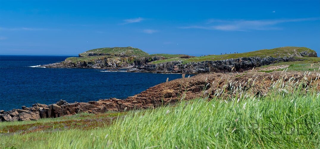 Bird Island - Elliston - Terre-Neuve