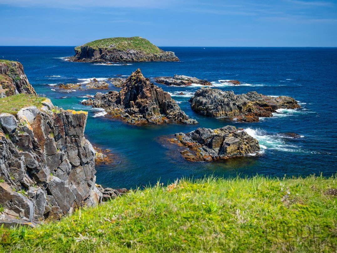 La côte - Bird Island - Elliston - Terre-Neuve