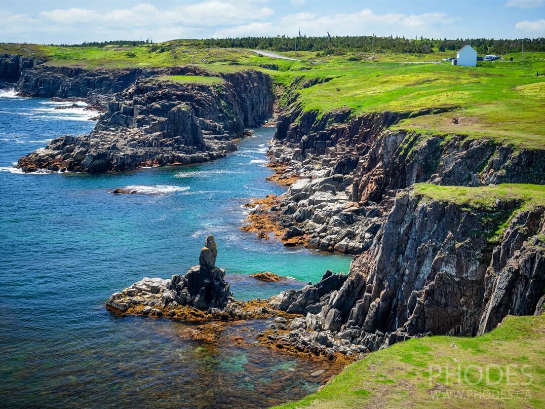 La côte - Bird Island - Elliston - Terre-Neuve