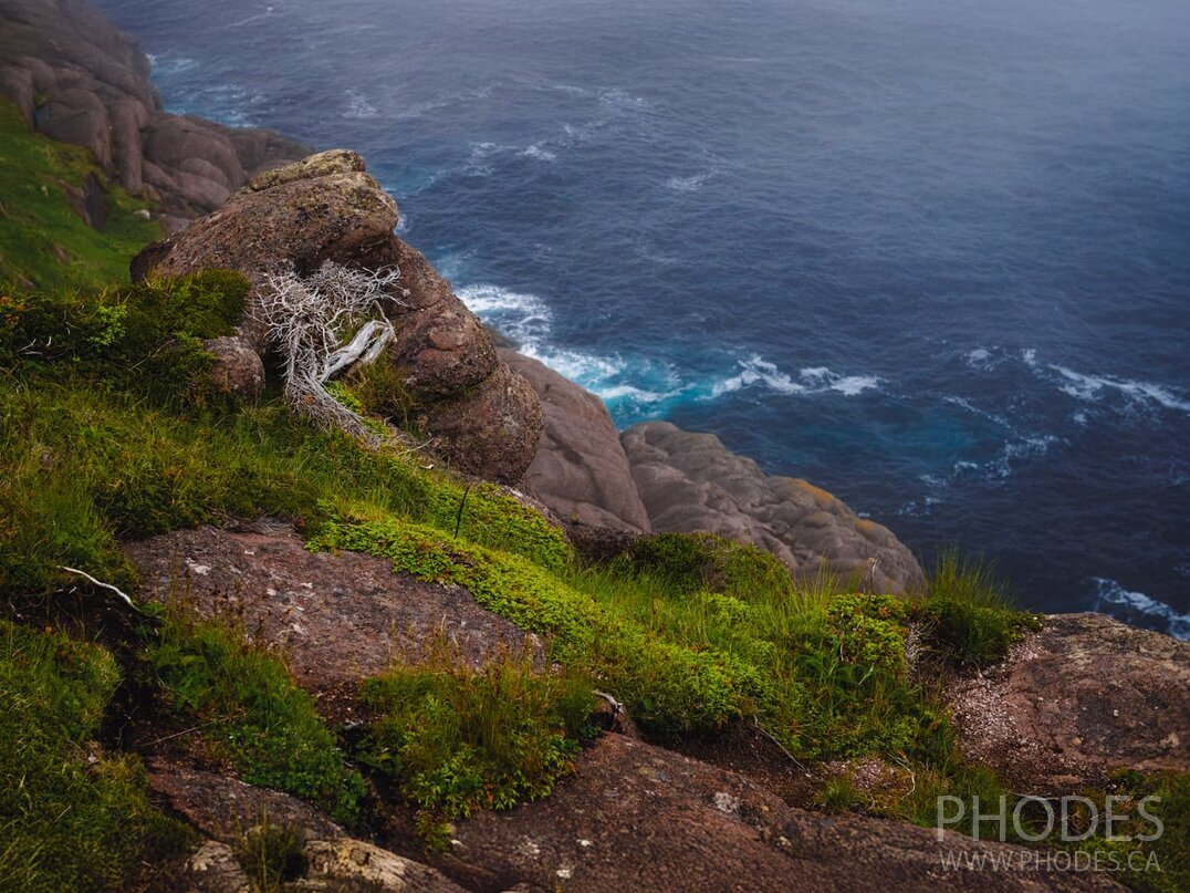 La vue côtière du cap Spear - Terre-Neuve