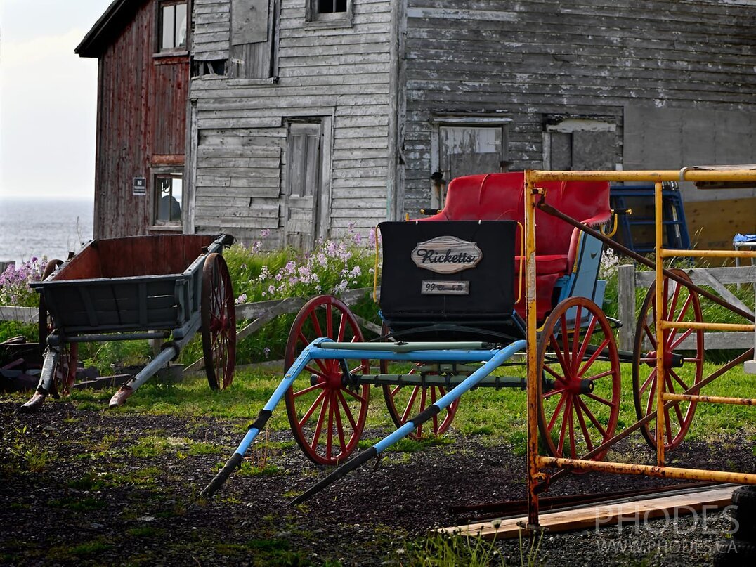 Le chariot - Bonavista - Terre-Neuve