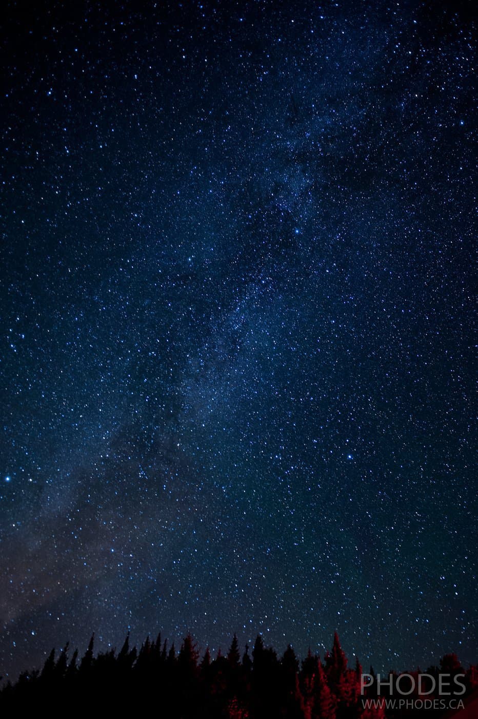 Milky Way over the trees